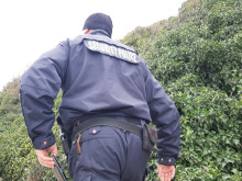 Бургаски полицаи закопчаха крадци на палми