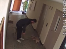 Млад мъж рита малко кученце в блок в София