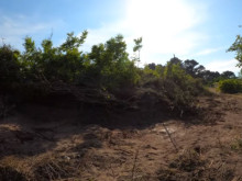 Гражданин сигнализира: Багер на Община Царево унищожава защитени дюни на плаж Корал