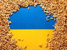 Проблемът с украинския внос обсъдиха земеделските министри на България и още четири държави