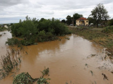 Наводненията не са предизвикани заради незаконна сеч, категорични са от Агенцията по горите