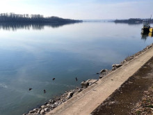 Няма данни за замърсяване в нашия участък на река Дунав след разлива край Нови Сад
