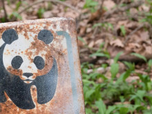Русия определи WWF за нежелана организация в страната