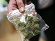 Хванаха тийнейджър от Плевен с 10 грама марихуана