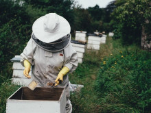 Важно за всички бенефициери по интервенциите в сектора на пчеларството