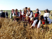 Пшеницата празнуват в старозагорското село Пшеничево