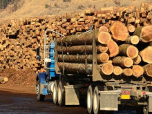 Задържаха 53-годишен мъж за незаконен добив на дървесина 