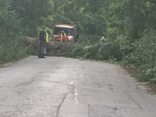 Голямо дърво е паднало върху път между две села