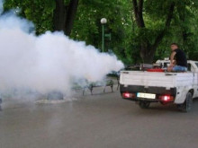 Общината в Пловдив продължава с дезинсекция срещу кърлежи