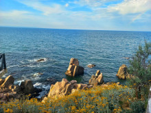 Излязоха последните резултати от пробите за чистотата на Черно море