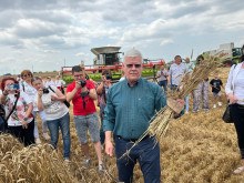 Министър Вътев: Очакваме реколта от над 6 млн. тона пшеница