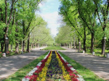 Общината пита русенци: Да се обособи ли парк в кв. 