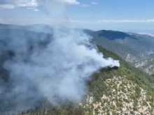 Пожар гори в труднодостъпна местност на територията на ДЛС Кормисош