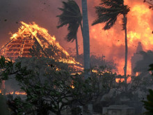 WP: Пожарите в Хавай са предизвикани от неподдържаните плантации за захарна тръстика