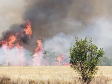 Мигранти най-вероятно са причинили единия от трите пожара в Хасковско