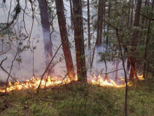 Военните се включиха в гасенето на пожара край Добростан