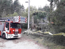 Стопанска постройка е изгоряла при пожар край доспатското село Бръщен, спасени са 500 дка гора