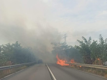 Пожар затрудни движението по главен път Е-79 в района на Кресна
