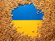 Мнозинството в ЕС са против удължаване на ембаргото върху вноса на зърно от Украйна
