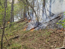 Между 10 и 20 дка смесена гора и ливади горят край маданското село Върбина