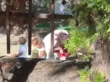 Жестока агресия от възпитател към дете в благоевградска детска градина
