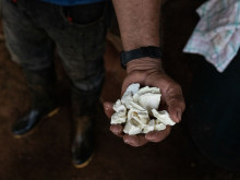 Кокаинът е на път да измести петрола от челното място в износа на Колумбия