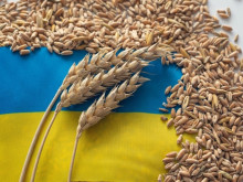 Европейската комисия отмени ограниченията върху вноса на украинско зърно