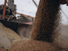 ЕК заседава относно законността на забраната за внос на украинско зърно