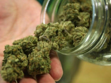 Близо 40 грама марихуана иззеха от търновски дилър