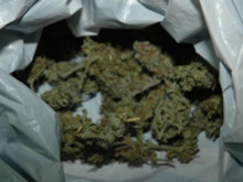 Откриха марихуана в апартамента на криминално проявен в Бургас
