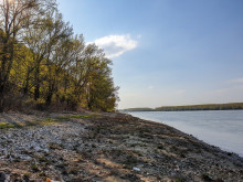 Нивото на Дунав при Никопол не помръдва от дни