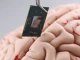 Първият човек, имплантиран с чип, движи предмети с мисълта си