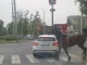 В Пловдив: На пешеходната пътека трябва ли да слезе от коня?