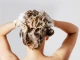 Експерт каза колко често хората трябва да мият косата си