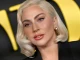 Лейди Гага за малко да отнесе обществен линч
