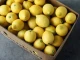 На границата спряха лимони с пестициди