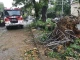 Последна информация за пожарникаря, върху когото падна огромно дърво след...