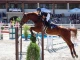 100 000 лева награден фонд на Световната купа по конен спорт край Пловдив