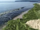 Токсични водорасли в Черно море уплашиха експертите