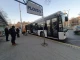 30 индийци ще карат градски автобуси в Пловдив, дават им жилища и добри з...