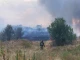 Още един пожар пламна. Пловдивски огнеборци и доброволци са на трудно...