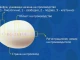 ЕС обясни значението на цифрите и буквите на яйцата, които купувате