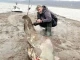 Всички рибари могат да му завиждат, той улови почти 100-килограмово чудов...