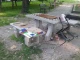 Мизерия и гнусотия! Да отбележим и кучешките изпражнения на всяка крачка