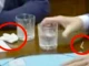 Употребил ли е Макрон кокаин във влака от Киев? Елисейският дворец с ...