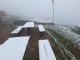 Сняг през май в България. Ето къде