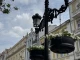 Центърът на Пловдив радва минувачите с нова пролетна визия