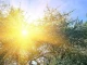 Слънчевото време продължава и днес