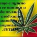 Радослав Трифонов