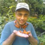 Yanko Sotirov